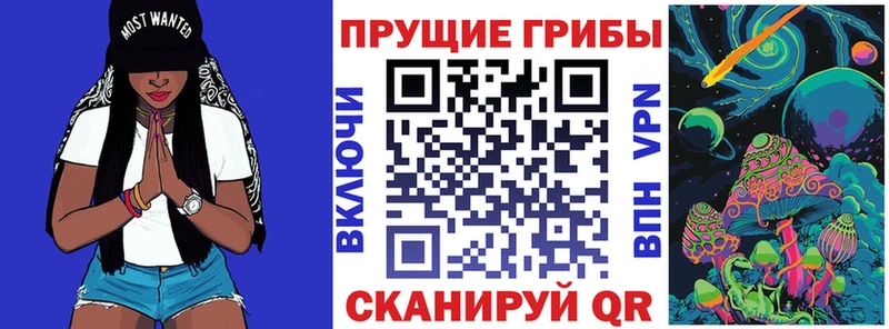 OMG вход  как найти наркотики  Сокол  Псилоцибиновые грибы прущие грибы 